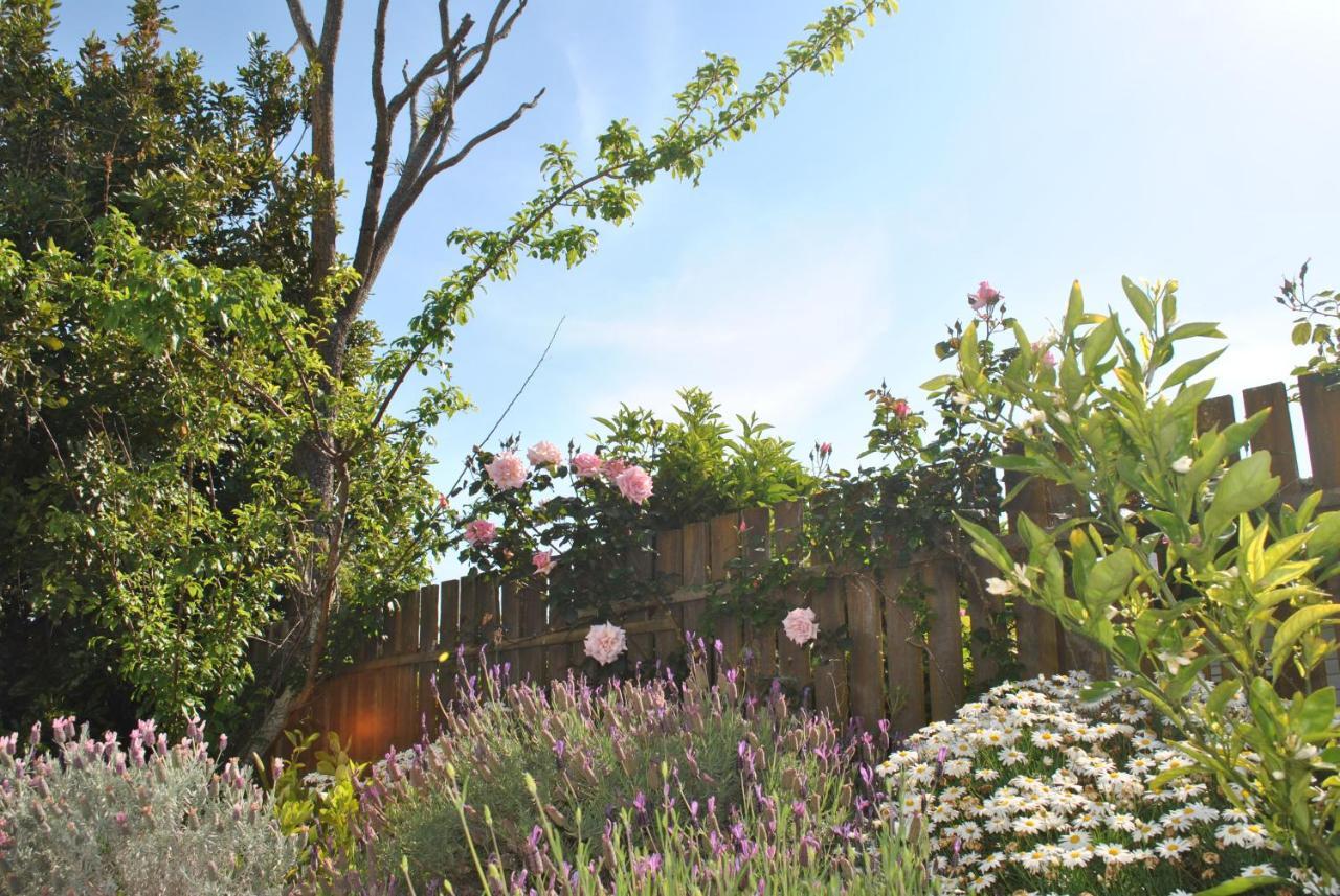 Wai O Taiki Bay B&B Auckland Eksteriør bilde